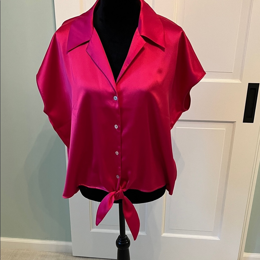 Rachel Zoe Blouse Tie Front Button-Up in  Gorgeous Pink Satin